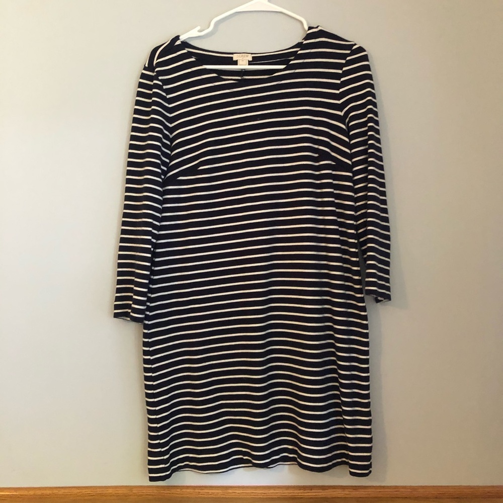 Striped Jcrew swing dress